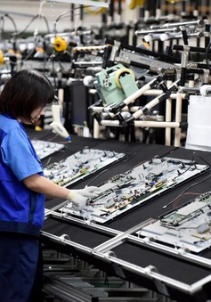 Nhật Bản đề xuất tư cách lưu trú mới cho lao động nước ngoài