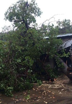 Đắk Lắk: Mưa lớn kèm lốc xoáy làm hơn 100 nhà dân bị tốc mái