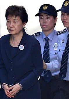 Cựu Tổng thống Hàn Quốc Park Geun-hye từ bỏ kháng cáo