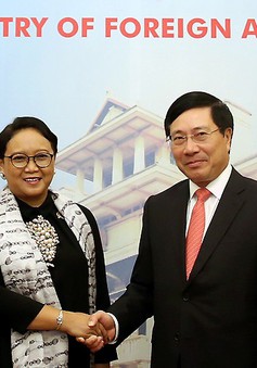 Kỳ họp lần thứ ba Ủy ban hợp tác song phương Việt Nam – Indonesia thành công tốt đẹp