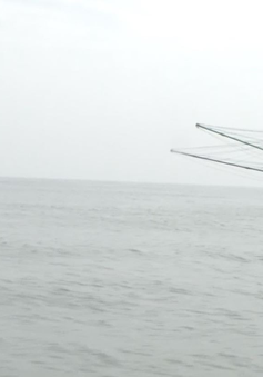 Quảng Bình: Bắt hai tàu giã cào tận diệt thủy sản trên biển