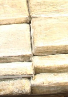 Myanmar bắt giữ 200kg ma túy
