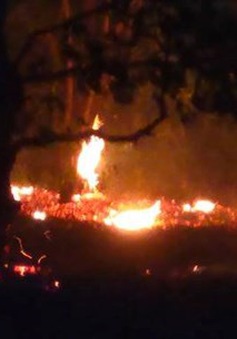 Rừng Tà Cú vẫn đang tiếp tục cháy