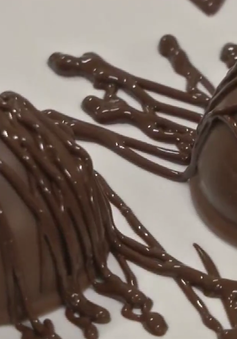 Chocolate Bỉ tìm nguồn nguyên liệu và cơ hội kinh doanh ở Việt Nam