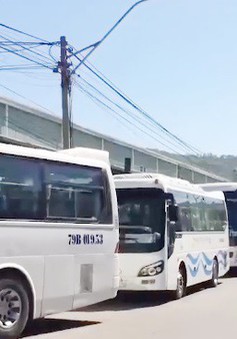 Khánh Hòa: Lộn xộn giao thông từ "tour 0 đồng"