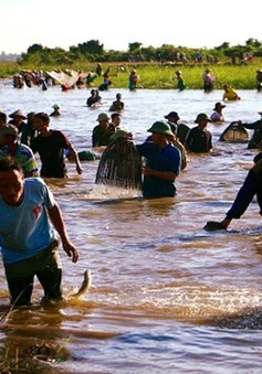 Hà Tĩnh: Hàng ngàn người tham gia lễ hội bắt cá truyền thống