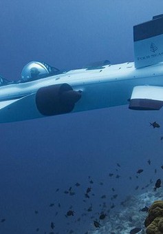 Dịch vụ sang chảnh: Ngồi tàu ngầm đi ngắm san hô