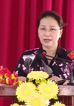 Chủ tịch Quốc hội Nguyễn Thị Kim Ngân tiếp xúc cử tri TP Cần Thơ