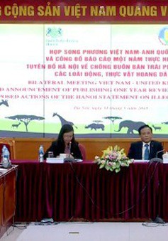 Việt Nam có thể sớm chấm dứt tình trạng nuôi nhốt gấu