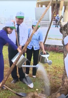 Phú Yên phát động chiến dịch "Môi trường xanh"