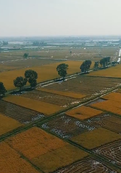 Hà Nội thu hút doanh nghiệp đầu tư vào nông nghiệp