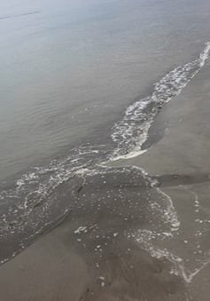 Bình Định: Bãi biển Quy Nhơn xuất hiện bùn đen
