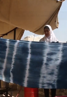 Cây tràm - Nguyên liệu chính của nghề nhuộm vải truyền thống ở Jordan