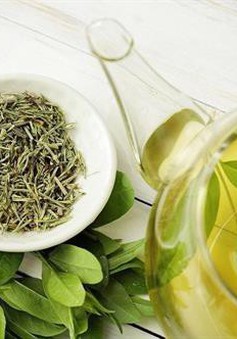 Tinh chất quý từ trà xanh hữu ích với bệnh nhân tiểu đường