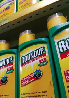 Anh cân nhắc ngừng bán thuốc diệt cỏ Roundup của Monsanto