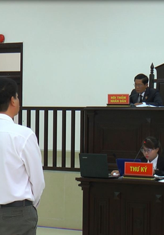 Đà Nẵng tuyên án xét xử vụ buôn lậu gỗ trắc ở Quảng Trị