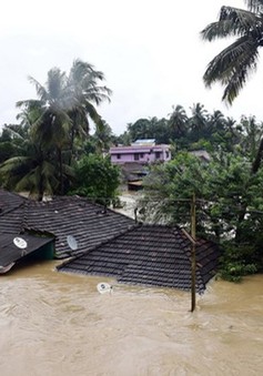 Mưa lũ gây ngập lụt nghiêm trọng ở Ấn Độ, 79 người thiệt mạng