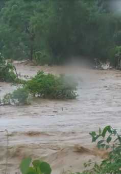 Mưa lớn gây ngập lụt, sạt lở tại Nghệ An