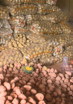 123 tấn khoai tây Trung Quốc tại Chợ nông sản: Đà Lạt gia hạn đến cuối tháng 9 chuyển khỏi chợ