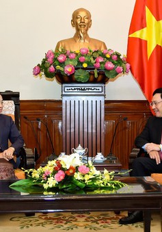 Phó Thủ tướng Phạm Bình Minh tiếp Thứ trưởng Bộ Ngoại giao Lào