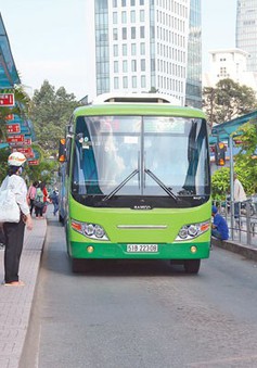 Khó triển khai thí điểm làn ưu tiên cho xe bus tại TP.HCM