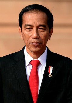 Sau ASIAD 2018, Indonesia thông báo ứng cử đăng cai Olympic 2032