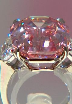 Đấu giá viên kim cương hồng 19 carat, dự kiến thu về 50 triệu USD