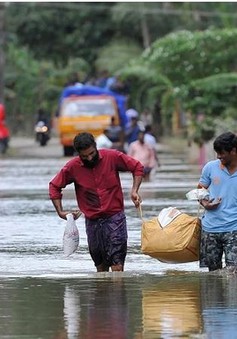 Ấn Độ: Bệnh dịch hoành hành tại bang Kerala sau lũ lụt
