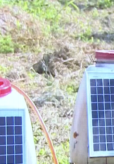 Nông dân chế tạo máy phun thuốc trừ sâu chạy bằng năng lượng mặt trời