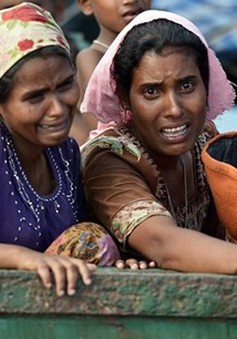 Bangladesh hoãn tiến trình hồi hương người tị nạn Rohingya về Myanmar