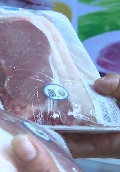 Lào Cai phát triển sản phẩm thịt lợn nuôi từ cám thảo dược