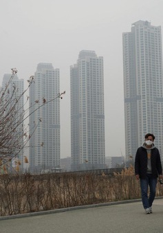 Các thành phố châu Á chìm trong khói bụi ô nhiễm