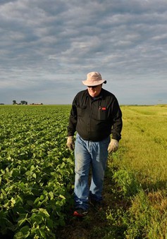 Ngành nông nghiệp Mỹ sẽ thiệt hại trong dài hạn do tranh chấp thương mại