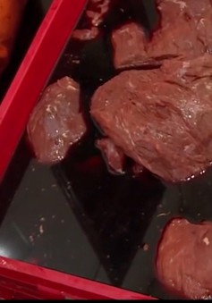 Bình Thuận: Phát hiện cơ sở biến thịt lợn nái thành thịt bò