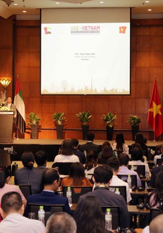 World Logistic Passport: Cơ hội cho doanh nghiệp Việt tham gia vào "con đường tơ lụa Dubai"