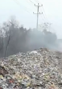 Long An: Tái diễn tình trạng đổ rác tràn lan trên Tỉnh lộ 823B