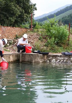 Sở Y tế Hà Nội thông tin nhanh kết quả kiểm tra chất lượng nước sạch của Nhà máy nước Sông Đà