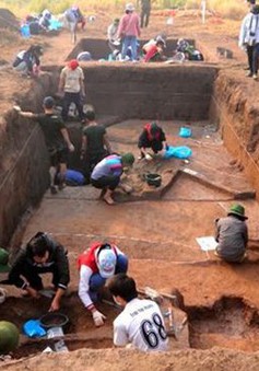 Kết quả khai quật di chỉ khảo cổ Vườn Chuối