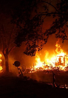 California khắc phục hậu quả thảm họa cháy rừng