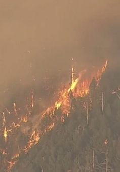 Cháy rừng diễn biến ngày càng nghiêm trọng ở California, Mỹ