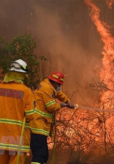 Hội Chữ thập đỏ Úc kêu gọi hiến máu khẩn cấp sau thảm họa cháy rừng
