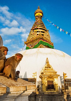 Đền khỉ - Nơi hòa hợp tôn giáo tại Nepal