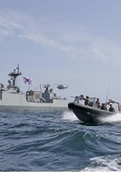 Phiến quân Houthi ở Yemen bắt giữ tàu Hàn Quốc
