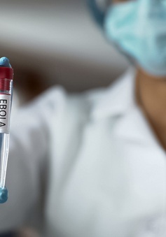 Israel và Đức tìm ra phương pháp nâng cao hiệu quả của vaccine phòng Ebola