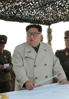 Chủ tịch Triều Tiên Kim Jong-un thị sát đơn vị quân sự trên đảo tiền tiêu
