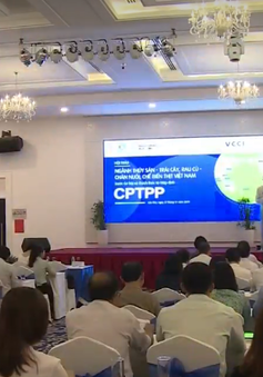 Doanh nghiệp ĐBSCL tiếp cận Hiệp định CPTPP