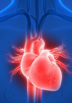 Phương pháp điều trị đơn giản cho bệnh nhân suy tim