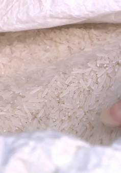 Thái Lan tiếp tục hỗ trợ nông dân bình ổn giá thóc gạo