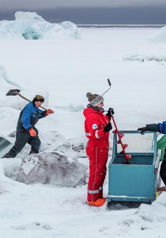 Greenland và vai trò trong việc dự đoán những thay đổi khí hậu của Trái Đất