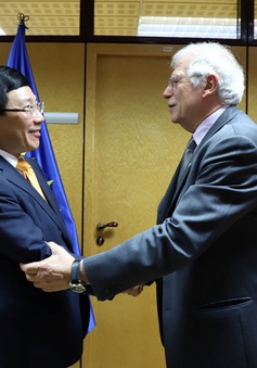 Quan hệ Việt Nam – EU có những bước phát triển mạnh mẽ và toàn diện